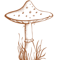 a small mushroom doodle
